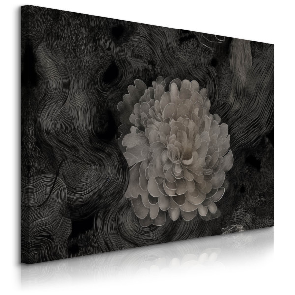 Obraz Abstrakcyjna Biała Dalia 40x30cm 752237