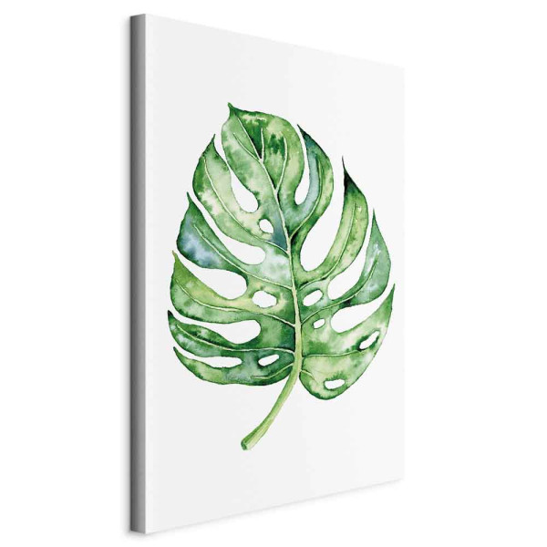 Obraz Akwarelowa monstera 60 x 90 cm 601583