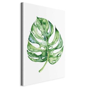 Obraz Akwarelowa monstera 80 x 120 cm 600048 Obraz Akwarelowa monstera 80 x 120 cm 600048