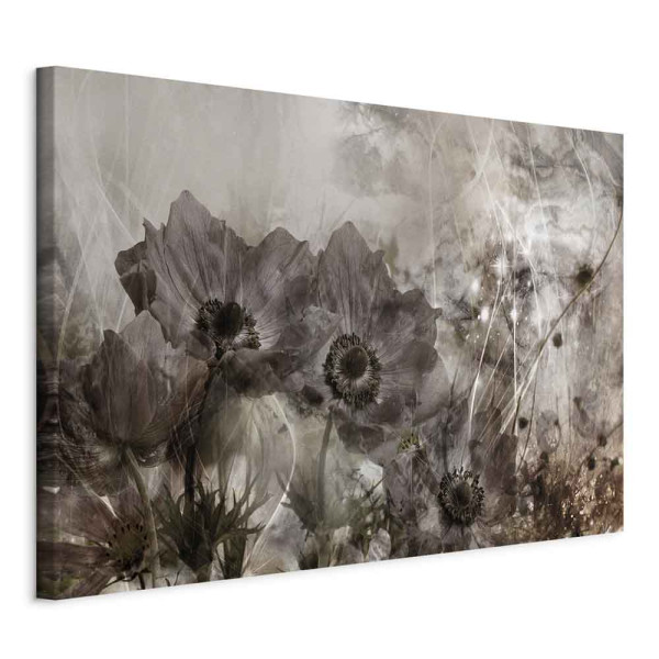 Obraz Anemony w sepii 120 x 80 cm 603707