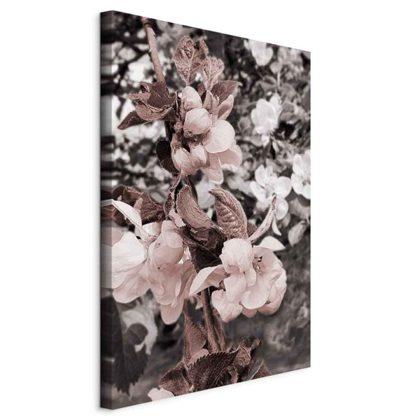 Obraz Balans w naturze 60 x 90 cm 593681