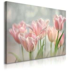 Obraz Barwne Tulipany 120x80cm 754861 Obraz Barwne Tulipany 120x80cm 754861