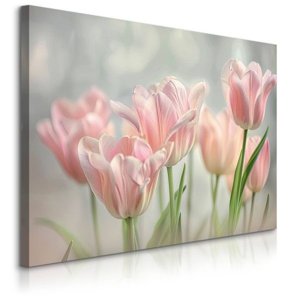 Obraz Barwne Tulipany 40x30cm 754757