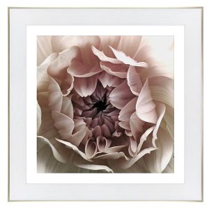 Obraz Biała Dalia 70×70 cm 50071 Obraz Biała Dalia 70×70 cm 50071