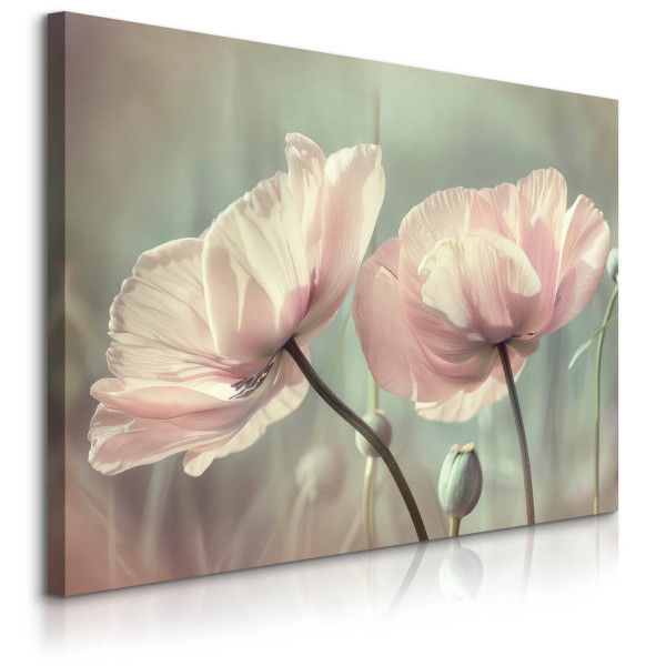 Obraz Białe Tulipany 90x60cm 754827