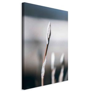 Obraz Botaniczny minimalizm 60 x 90 cm 604362 Obraz Botaniczny minimalizm 60 x 90 cm 604362