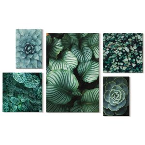 Obraz canvas 5 części Liście i sukulenty|20×30, 30×30, 40×60|Wallfluent 797048 Obraz canvas 5 części Liście i sukulenty|20×30, 30×30, 40×60|Wallfluent 797048