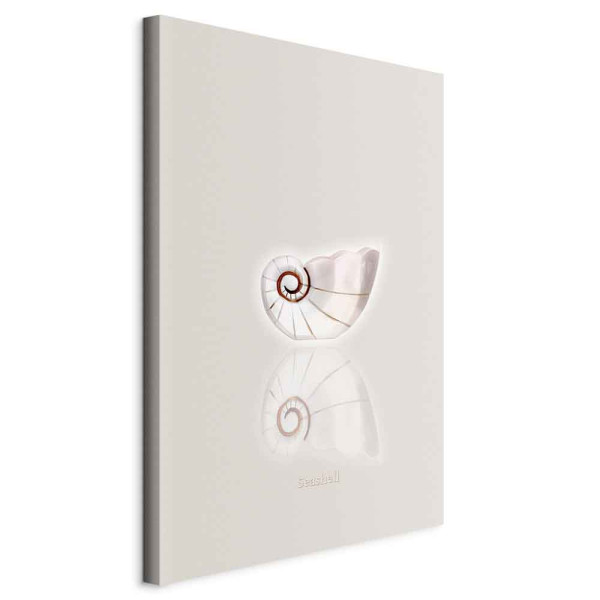 Obraz Ceramiczna muszla 40 x 60 cm 607158