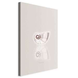 Obraz Ceramiczna muszla 80 x 120 cm 599321