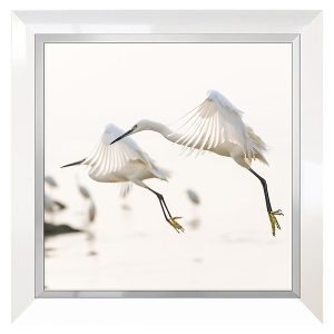 Obraz Czapla 50×50 cm 23290 Obraz Czapla 50×50 cm 23290