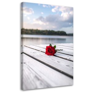Obraz Czerwona róża na pomoście do salonu sypialni kuchni biura 70×100 995581 Obraz Czerwona róża na pomoście do salonu sypialni kuchni biura 70×100 995581
