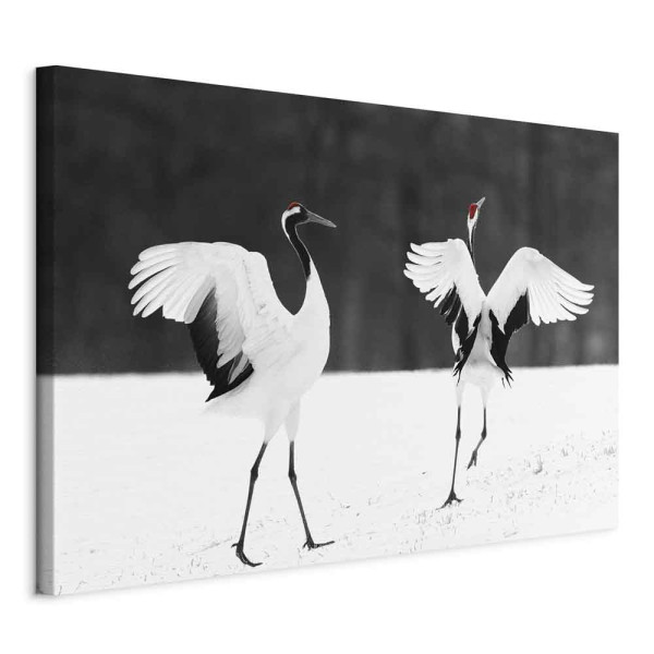 Obraz Dancing cranes 90 x 60 cm 604242