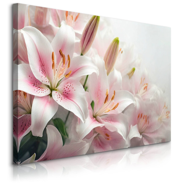 Obraz Delikatne Lilie 100x70cm 650603