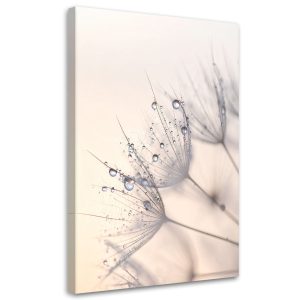 Obraz Dmuchawce rośliny kwiaty rosa do salonu sypialni kuchni biura 30×45 995670