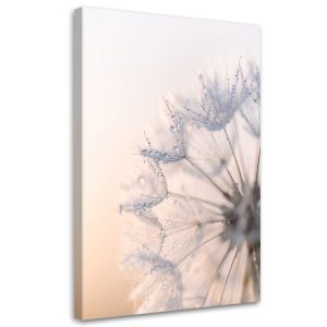Obraz Dmuchawce rośłiny rosa natura do salonu sypialni kuchni biura 40×60 995662