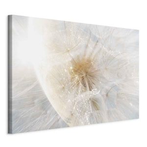 Obraz Dmuchawiec w słońcu 60 x 40 cm 596948 Obraz Dmuchawiec w słońcu 60 x 40 cm 596948