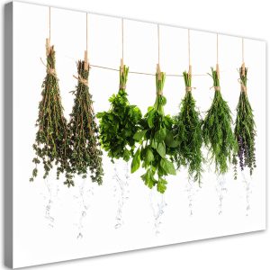 Obraz do kuchni jadalni restauracji, Zioła przyprawy rośliny 120×80 780539
