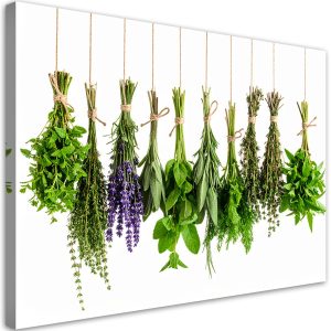 Obraz do kuchni jadalni, Wiszące zioła przyprawy rośliny 90×60 778761 Obraz do kuchni jadalni, Wiszące zioła przyprawy rośliny 90×60 778761