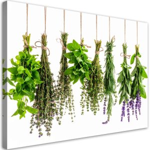 Obraz do kuchni jadalni, Zioła przyprawy rośliny 120×80 778771 Obraz do kuchni jadalni, Zioła przyprawy rośliny 120×80 778771