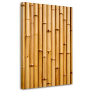 Obraz do salonu biura kuchni, Bambus roślina natura 40×60 781354