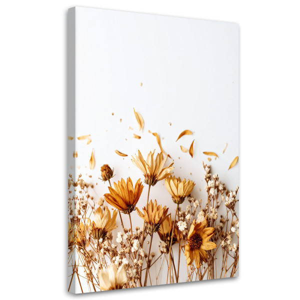 Obraz do salonu jadalni, Suche kwiaty polne 40x60 778705