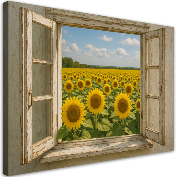 Obraz do salonu jadalni, Widok z okna Pole Słoneczniki Shabby Chic 120x80 780840