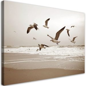 Obraz do salonu kuchni biura, Mewy ptaki morze plaża natura 30×20 886221 Obraz do salonu kuchni biura, Mewy ptaki morze plaża natura 30×20 886221