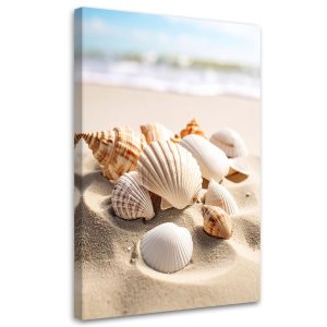 Obraz do salonu kuchni biura, Muszle plaża natura beżowy 30×45 886901 Obraz do salonu kuchni biura, Muszle plaża natura beżowy 30×45 886901