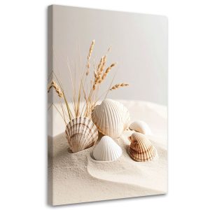 Obraz do salonu kuchni biura, Muszle rośliny natura boho 70×100 777801 Obraz do salonu kuchni biura, Muszle rośliny natura boho 70×100 777801