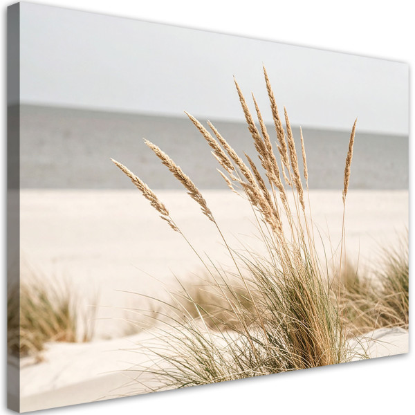 Obraz do salonu kuchni biura, Plaża morze rośliny natura beżowy 30x20 891031
