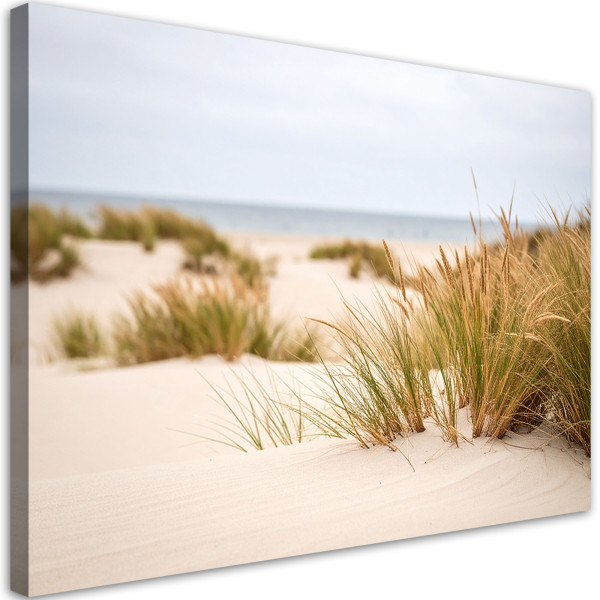 Obraz do salonu kuchni biura, Plaża morze rośliny wydmy natura 45x30 885517