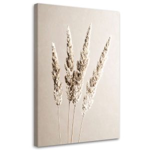 Obraz do salonu kuchni jadalni, Trawa pampasowa rośliny beżowy 40×60 777629 Obraz do salonu kuchni jadalni, Trawa pampasowa rośliny beżowy 40×60 777629