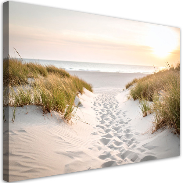 Obraz do salonu nowoczesny, Ścieżka na plażę piasek morze rośliny 45x30 885773