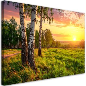 Obraz do salonu sypialni biura, Brzozy drzewa zachód słońca 90×60 889377 Obraz do salonu sypialni biura, Brzozy drzewa zachód słońca 90×60 889377