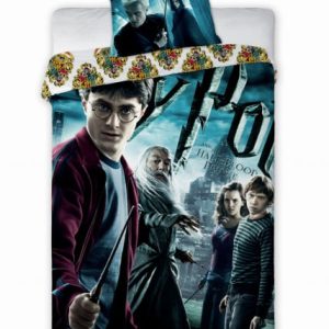 Pościel licencyjna Harry Potter 160×200 Faro 272862 Pościel licencyjna Harry Potter 160×200 Faro 272862