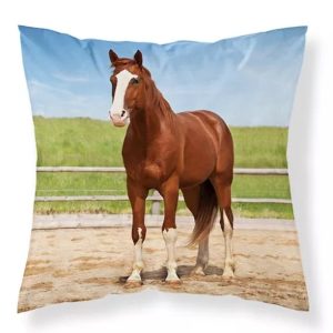 Poszewka dziecięca 40×40 koń MF 03 Kids 114 1001762 Poszewka dziecięca 40×40 koń MF 03 Kids 114 1001762