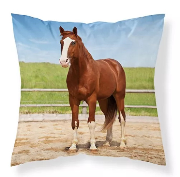 Poszewka dziecięca 40x40 koń MF 03 Kids 114 1001762