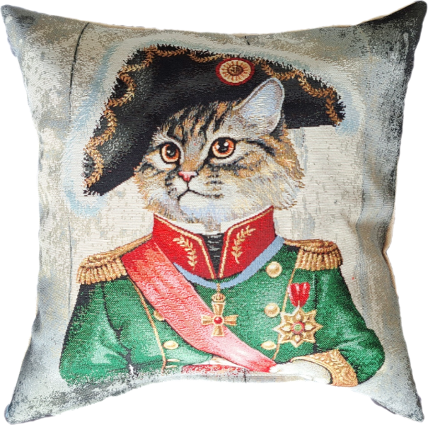 Poszewka Na Poduszkę Jasiek 45X45 Cm Żakardowa Dekoracyjna Ozdobna Napoleon 805816